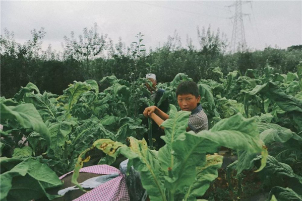 12.jpg